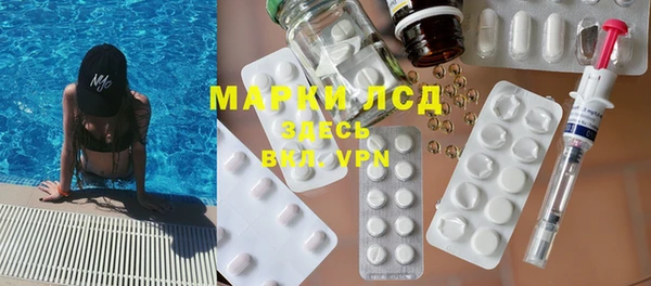 гидра Горнозаводск